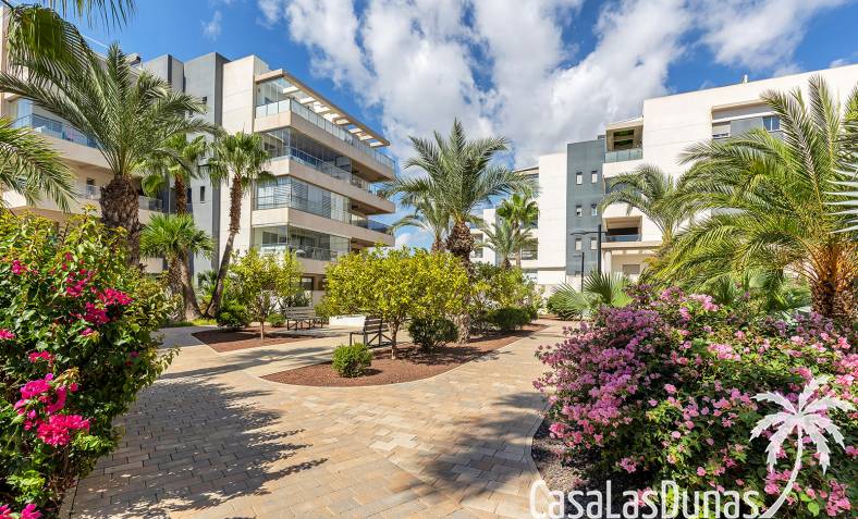 Apartament - Istniejący - Orihuela Costa - CLDB-63106