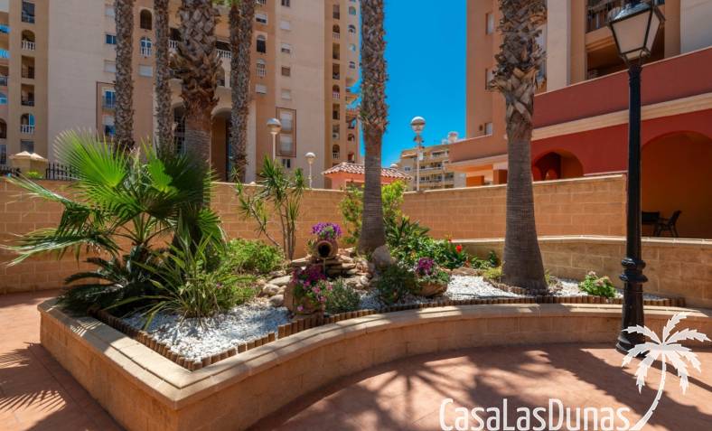 Apartment - Återförsäljning - Torrevieja - CLDCI-29067
