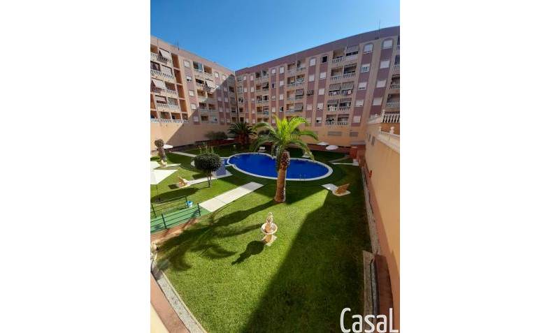 Apartment - Resale - Torrevieja - Torrevieja