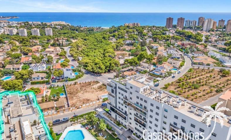 Apartment - Wiederverkauf - Campoamor - Campoamor