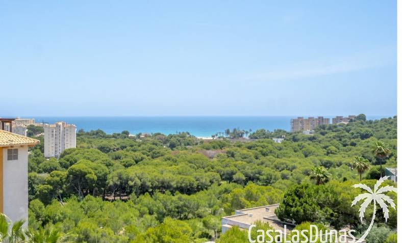 Appartement - Revente - Campoamor - Dehesa de campoamor