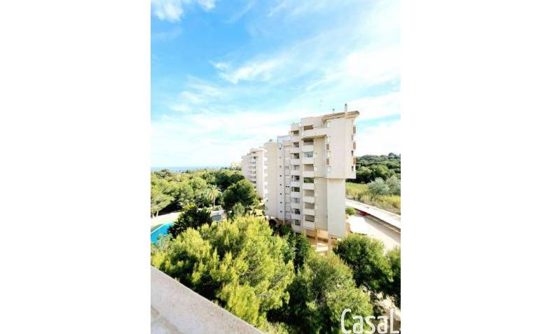 Appartement - Revente - Campoamor - Dehesa de campoamor