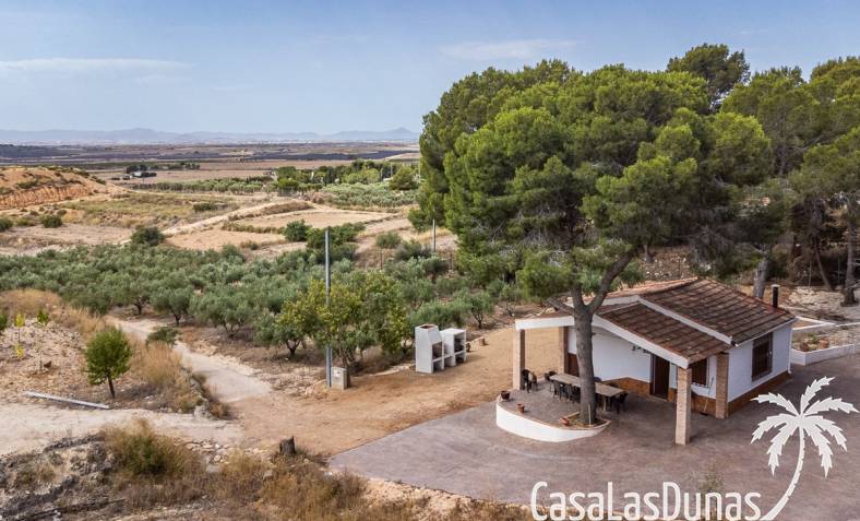 Appartement - Revente - LA TERCIA - La Tercia