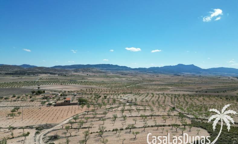 Bouwperceel - Bestaand - La Alberquila - La Alberquila