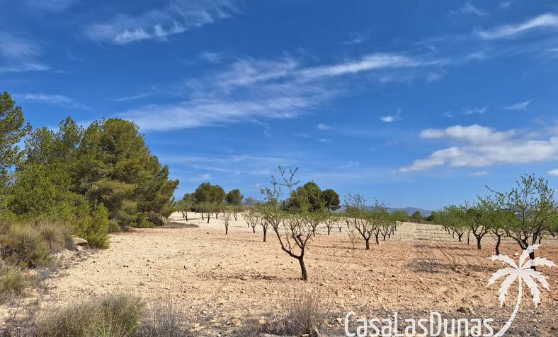 Bouwperceel - Bestaand - La Zarza - CLDZH-47730