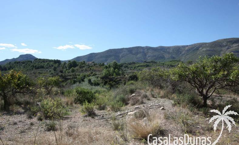 Bouwperceel - Bestaand - Orba Vallei - xpg00880