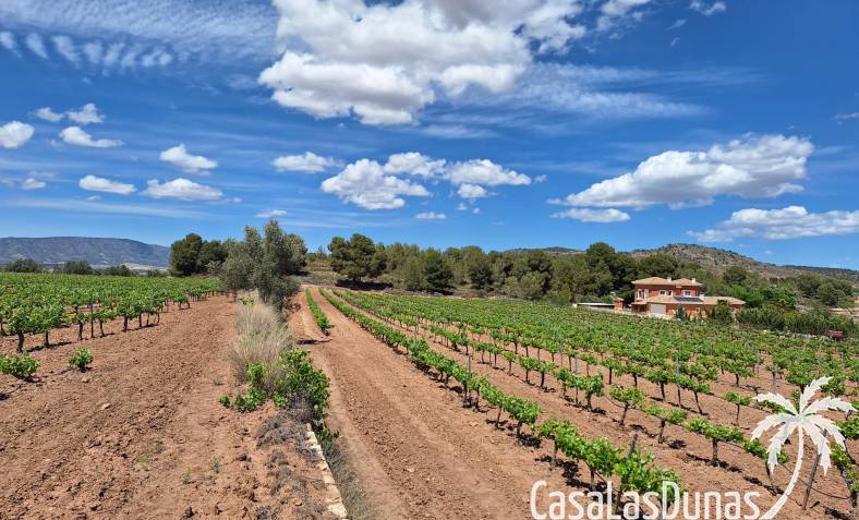 Bouwperceel - Bestaand - Pinoso - CLDZH-26423