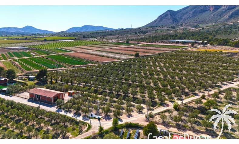 Building plot - Resale - Hondón de las Nieves - CLDJ-83135