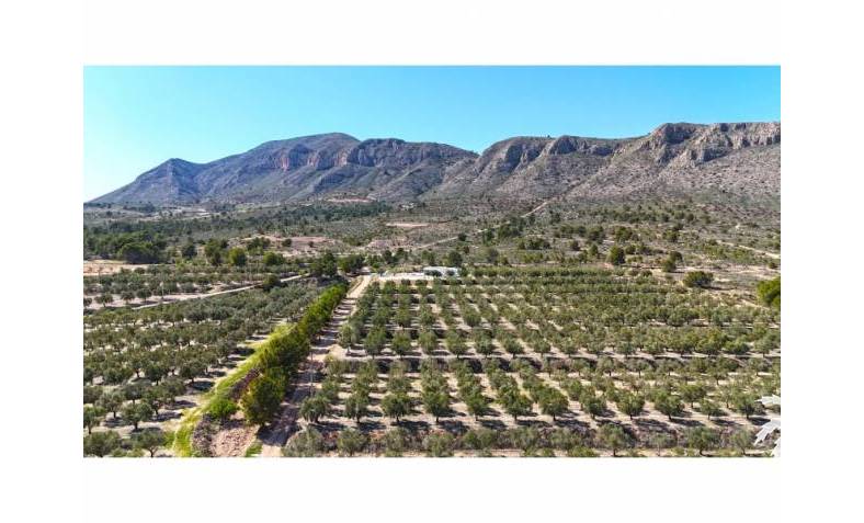 Building plot - Resale - Hondón de las Nieves - Hondón de las Nieves / el Fondó de les Neus