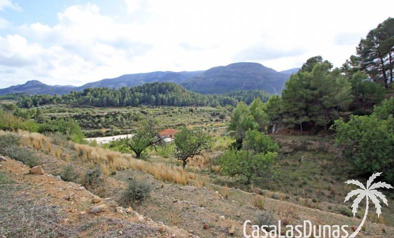 Building plot - Resale - Jalón Valley - xpg00953