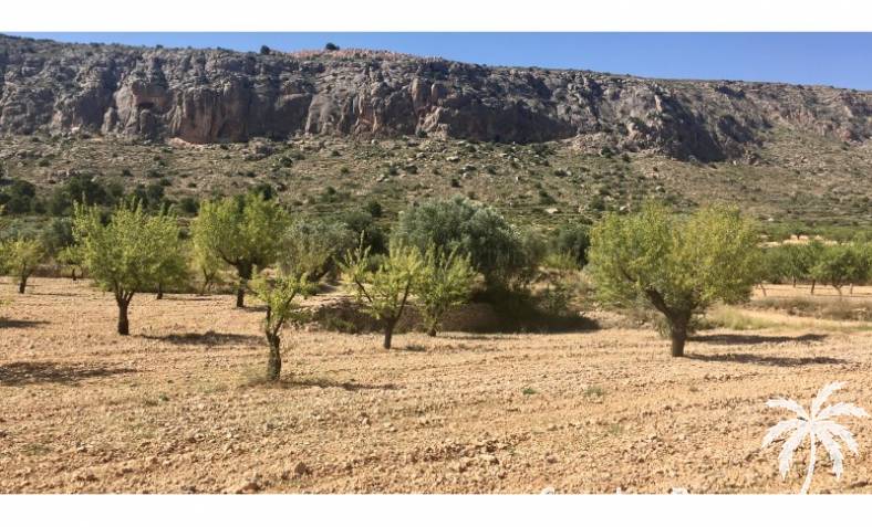 Building plot - Resale - La Romana - La Romana