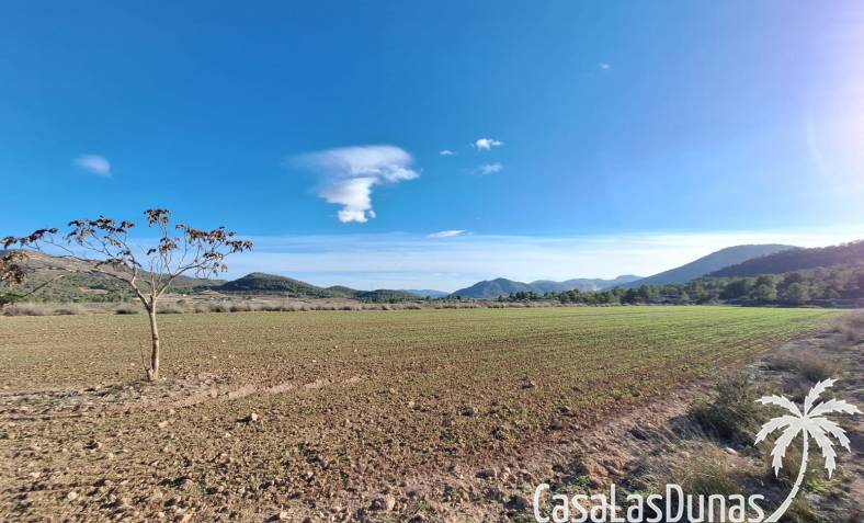 Building plot - Resale - Monovar - CLDZH-41473