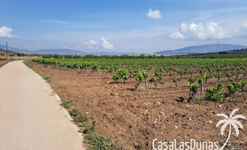 Building plot - Resale - Pinoso - Pinoso