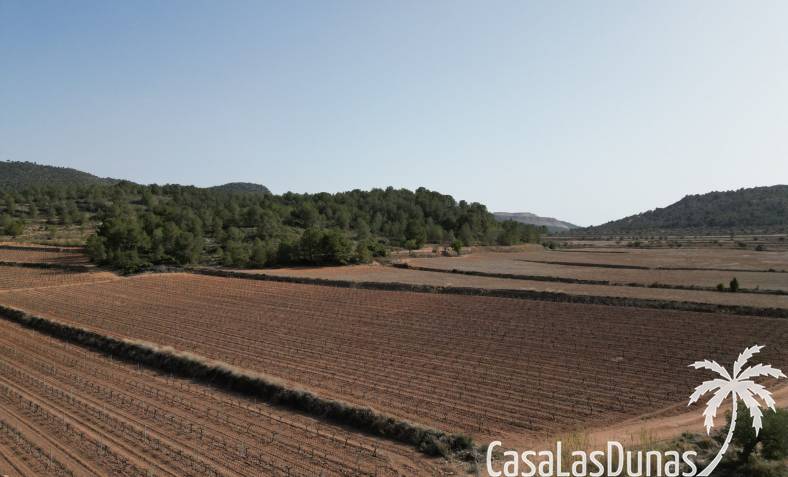 Building plot - Resale - Pinoso - Pinoso