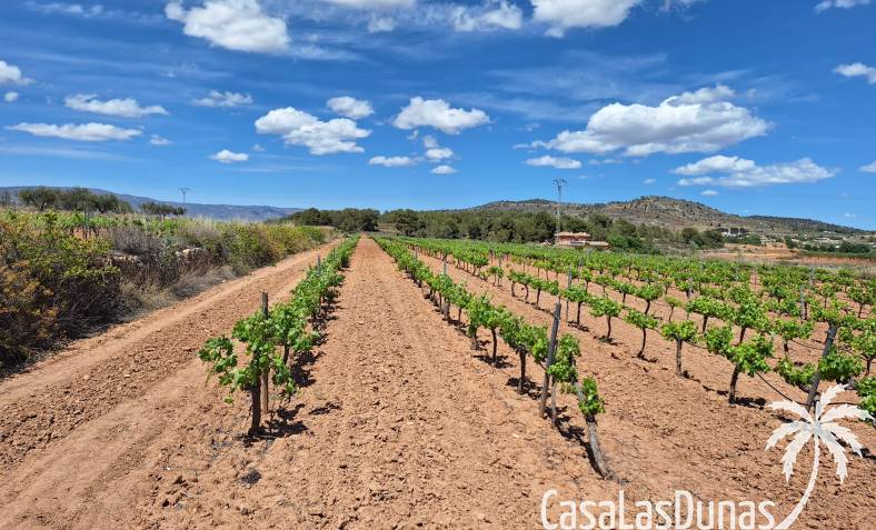 Building plot - Resale - Pinoso - Pinoso