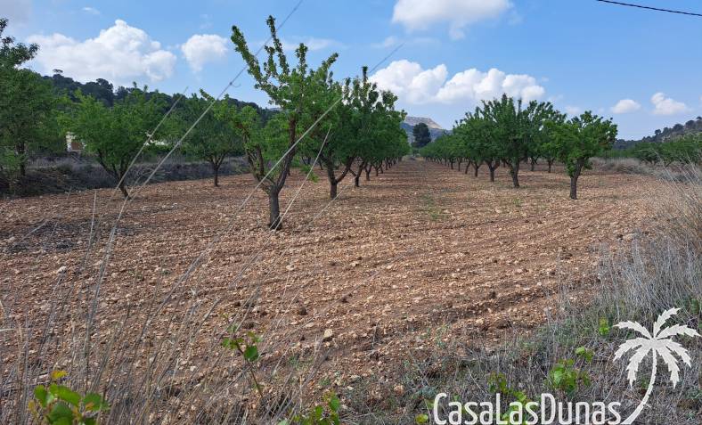 Building plot - Resale - Pinoso - Pinoso