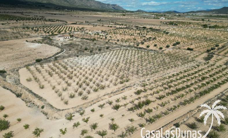 Building plot - Resale - Pinoso - Pinoso