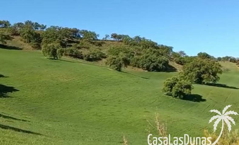 Building plot - Resale - Ronda - CLDA-11707