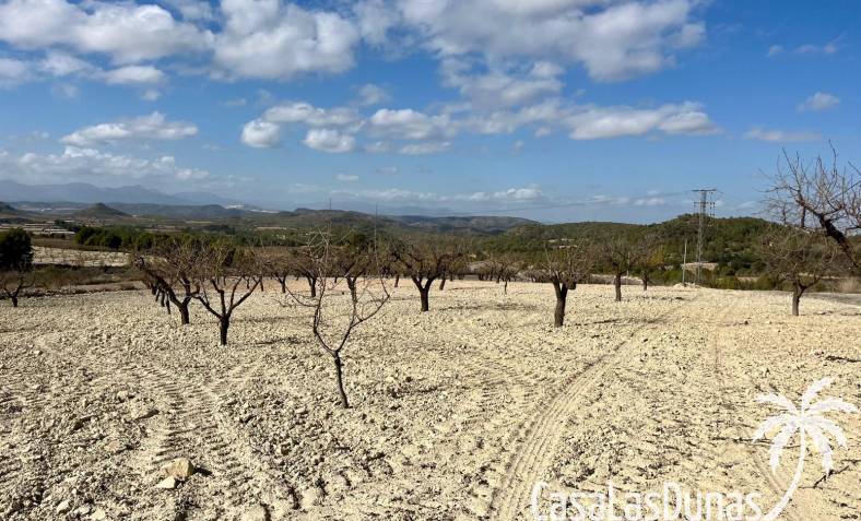 Building plot - Wiederverkauf - Bullas - Bullas