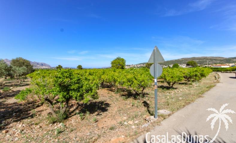 Building plot - Wiederverkauf - Orba Tal - xpg001569