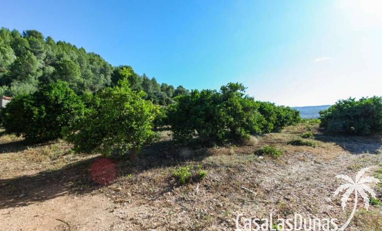 Building plot - Wiederverkauf - Orba Tal - xpg00750