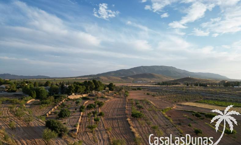 Building plot - Wiederverkauf - Pinoso - CLDZH-25099