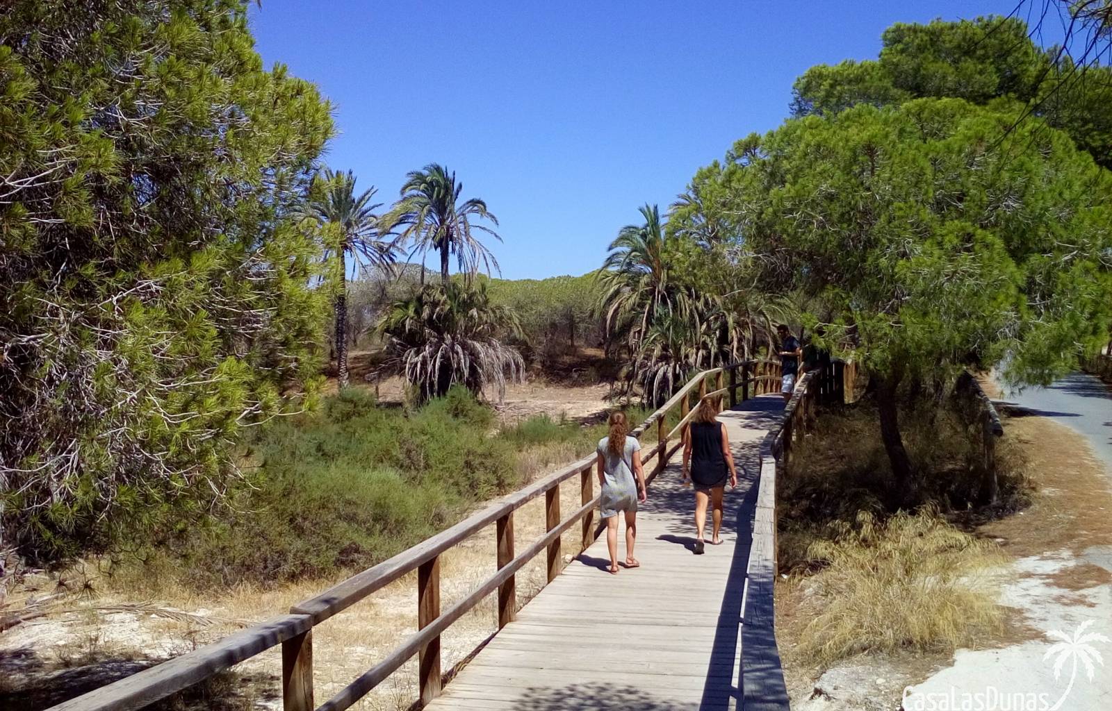 casapelican-casalasdunas-orihuelacosta