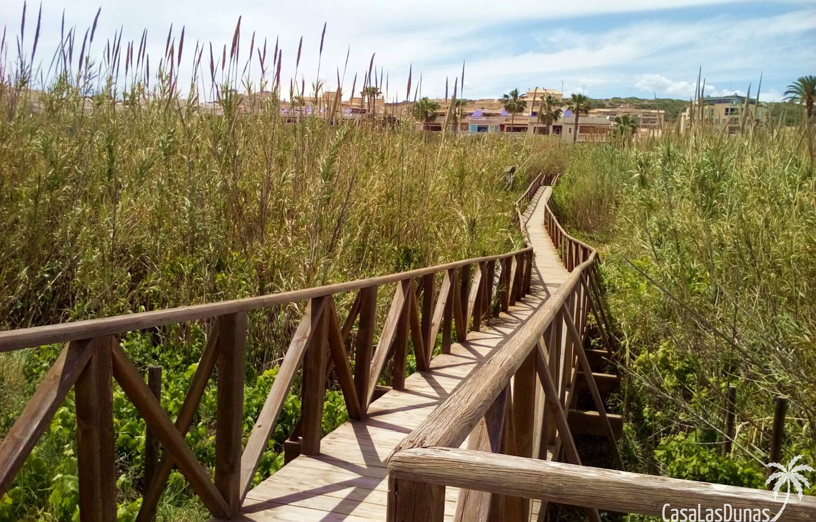 casapelican-casalasdunas-orihuelacosta