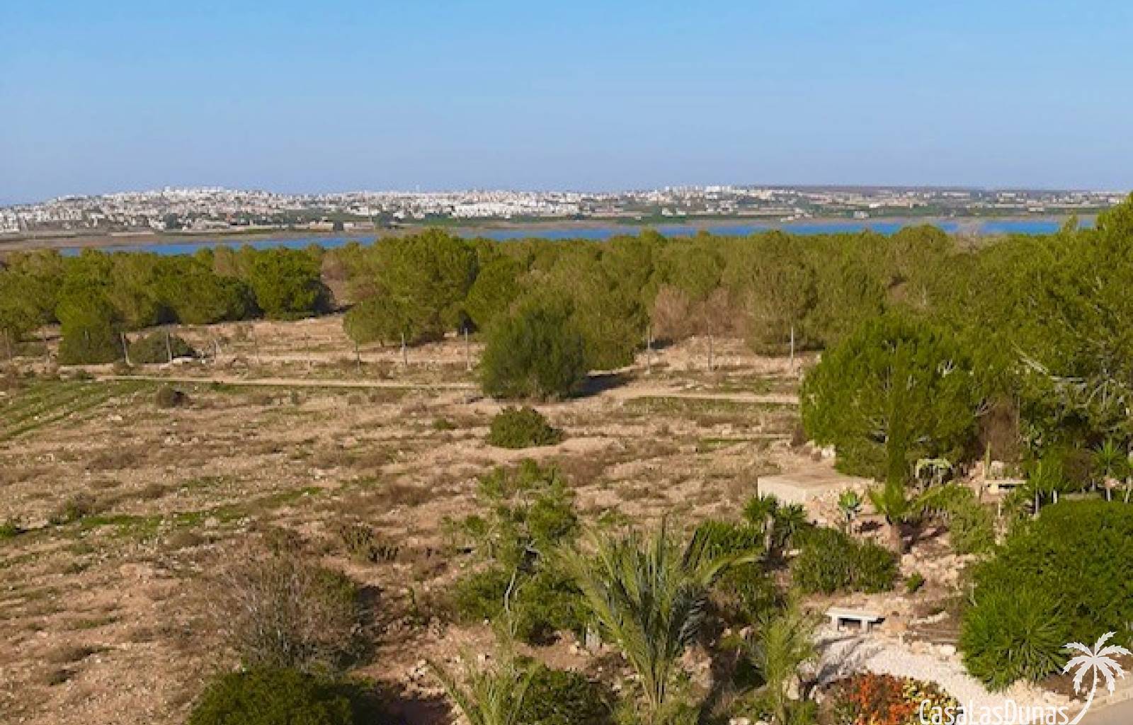 casasalinas-casalasdunas-Torrevieja