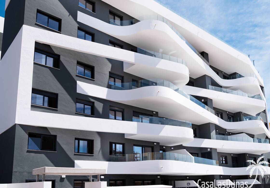 CLD-2969NEW Torrevieja