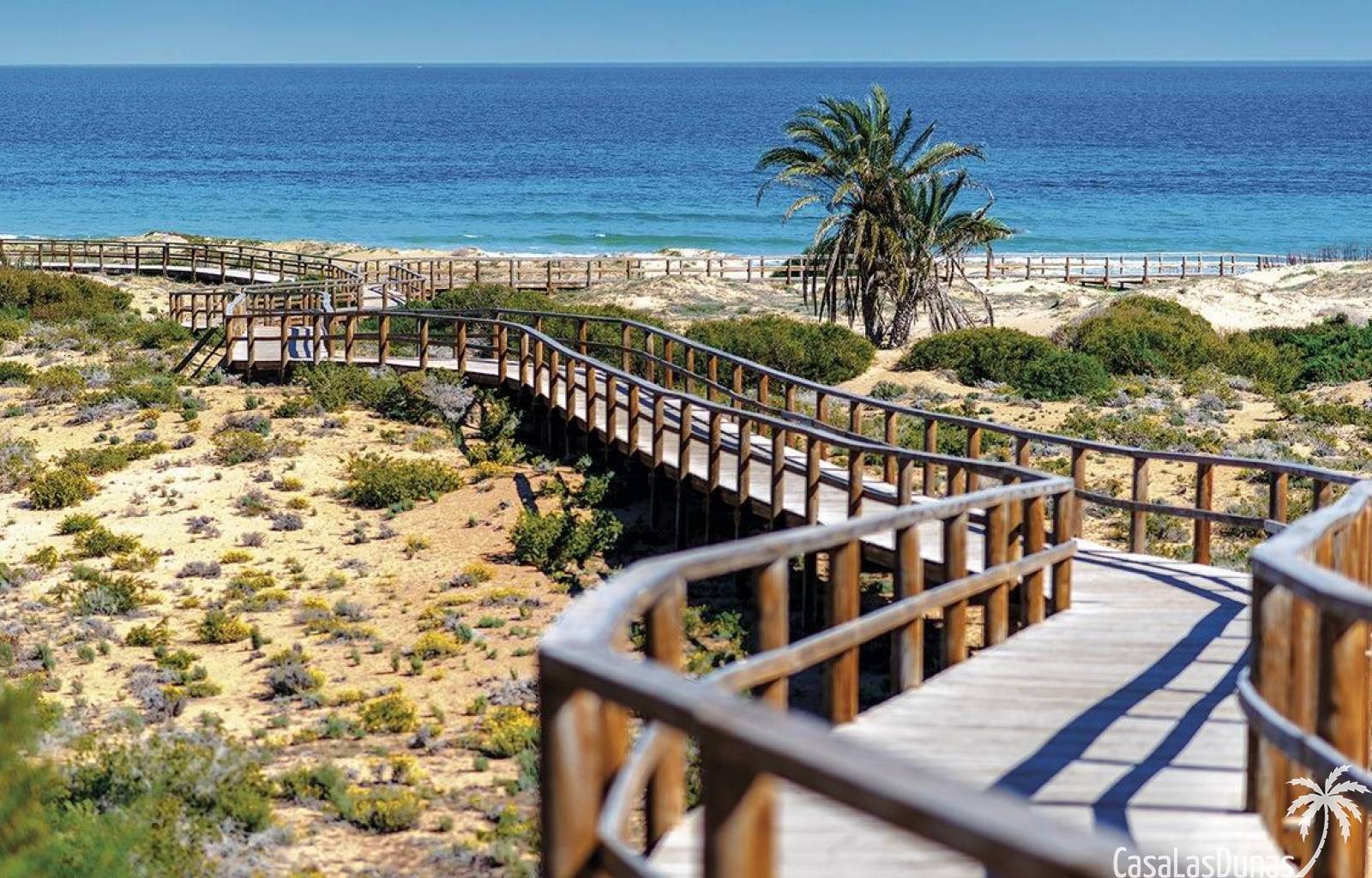 CLDN-91199 Alenda Golf CasaLasDunas