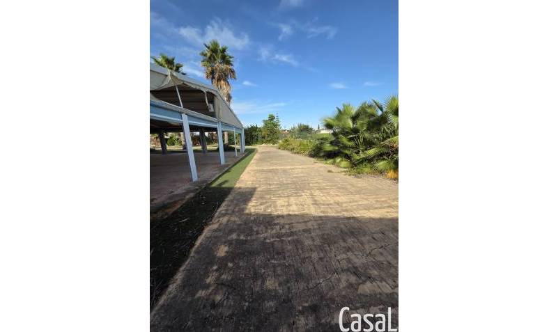 Commercial - Bestaand - Callosa De Segura - CLDT-28955