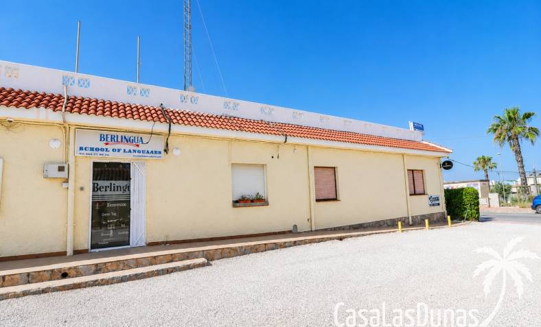 Commercial (Rental) - Bestaand - Ciudad Quesada - CLDVI-28529
