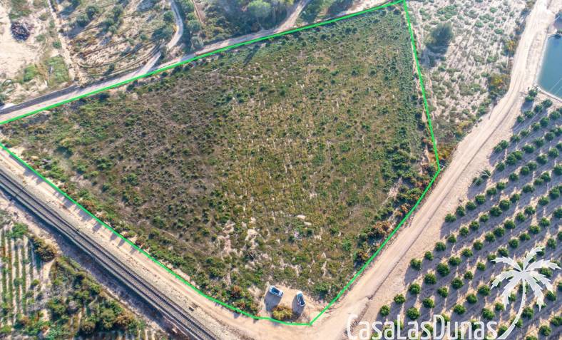 Country Land - Reventa - Crevillent - Comunidad valenciana