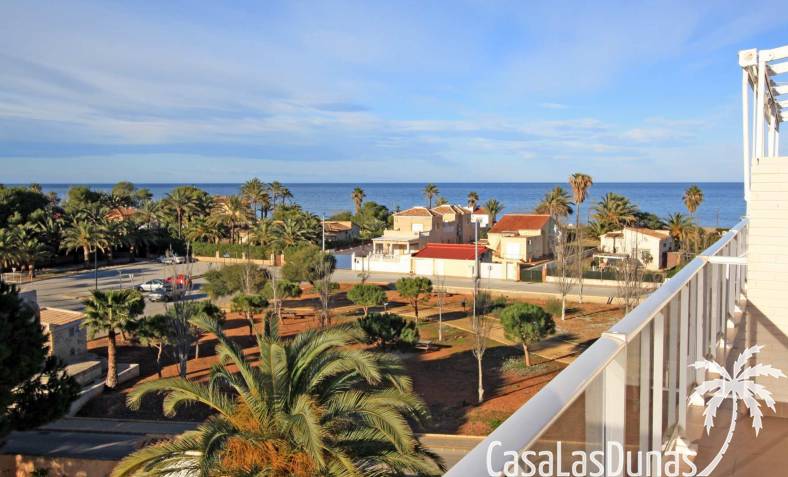 daszek - Istniejący - Denia - xpl01422