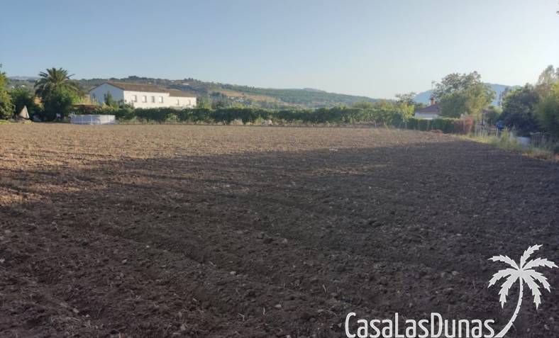 Finca - Istniejący - Ronda - Ronda