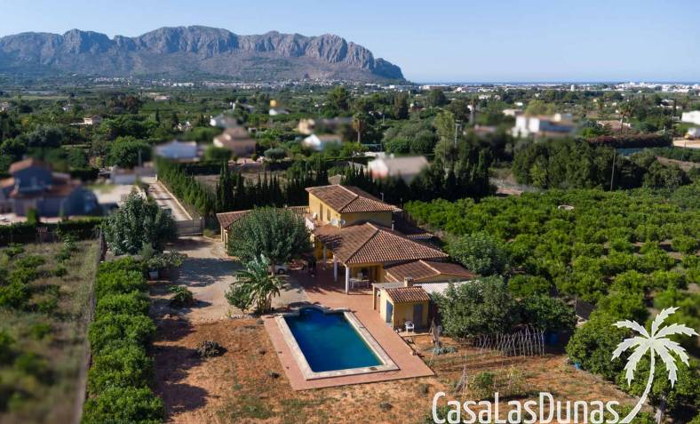 Finca - Reventa - Pedreguer - Pedreguer