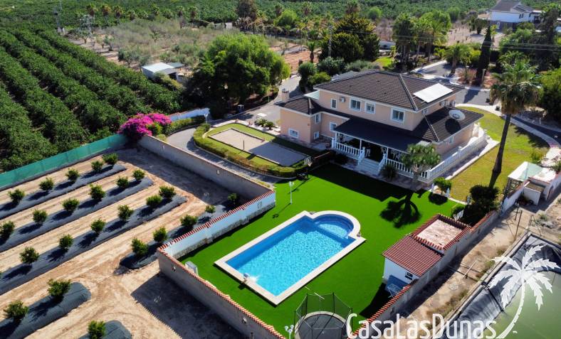 Finca - Reventa - San Miguel de Salinas - San Miguel De Salinas
