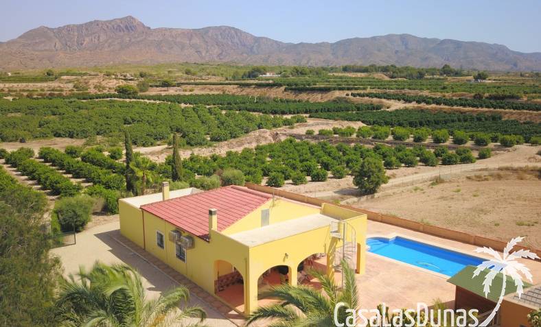 Finca - Revente - Albatera - Albatera
