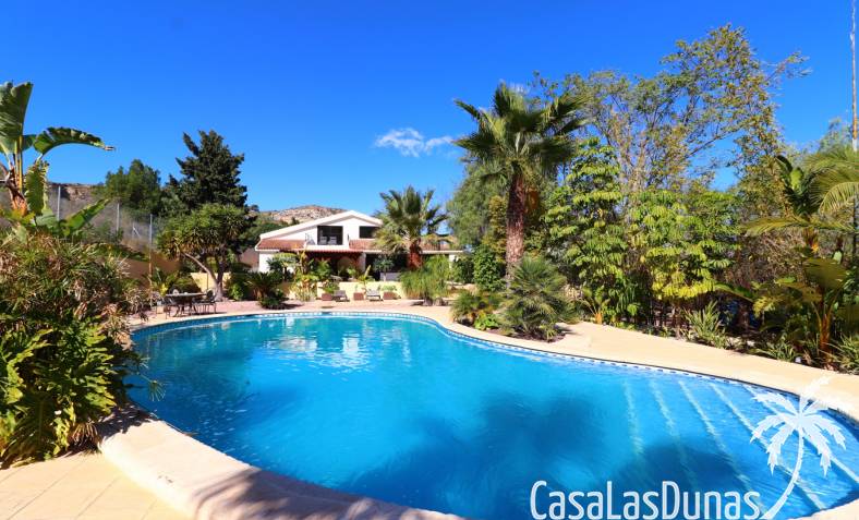 Finca - Revente - Aspe - Aspe - Country