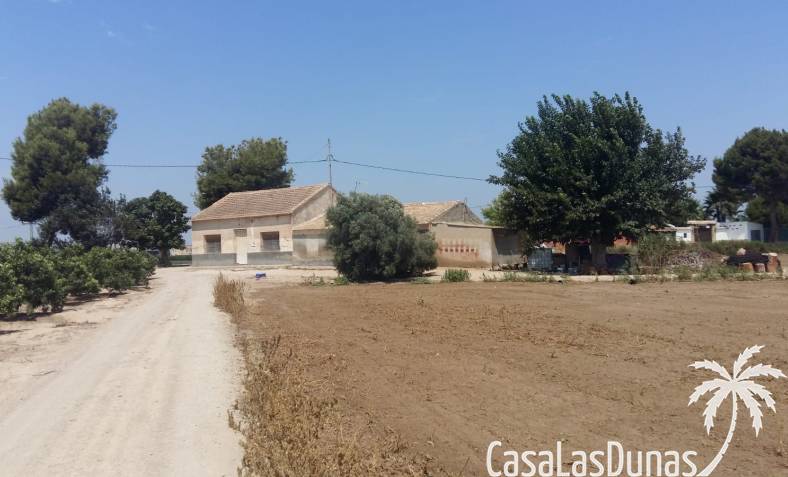 Finca - Revente - Daya Nueva - Daya Nueva