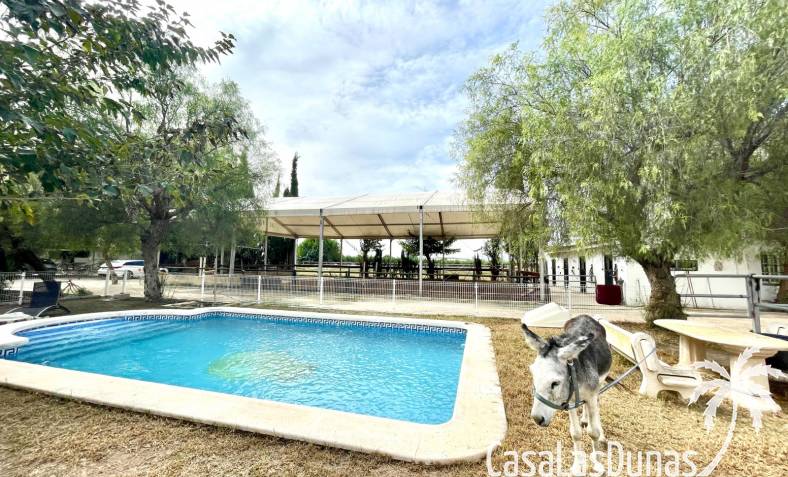 Finca - Revente - Orihuela Costa - Orihuela