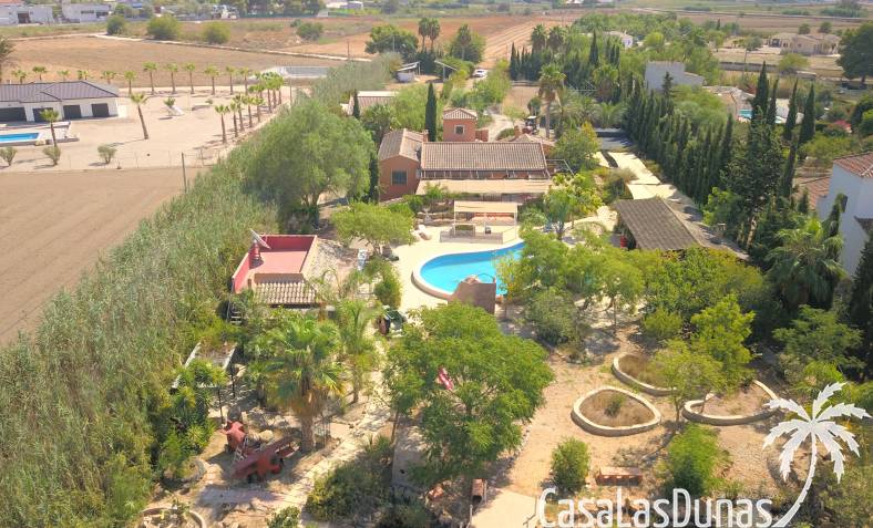 Finca - Wiederverkauf - Catral - CLDVI-69413