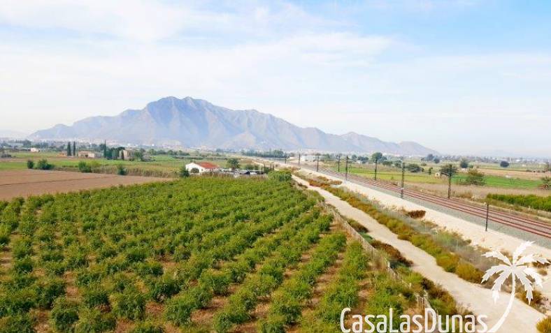 finka - Istniejący - Callosa De Segura - Callosa De Segura