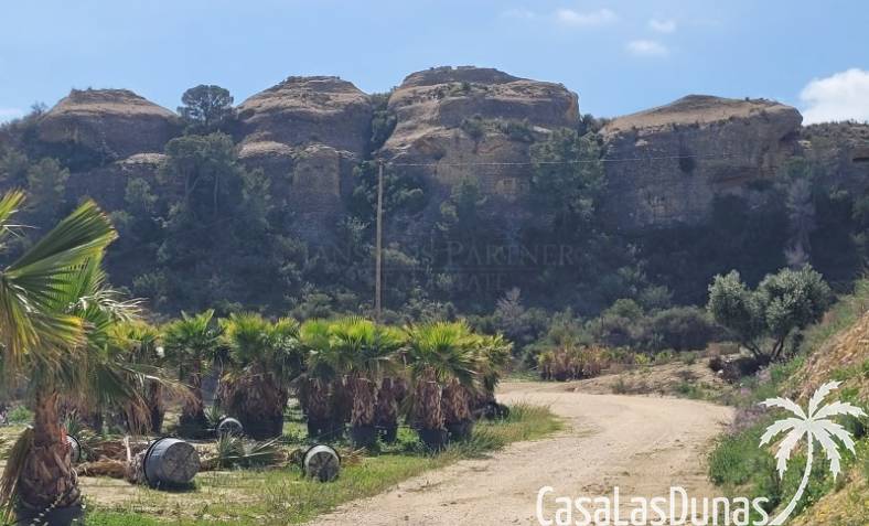 Parcela de construcción - Reventa - Aspe - Pedanías Oeste