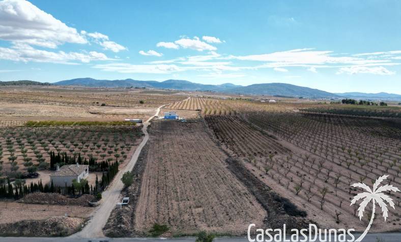 Parcela de construcción - Reventa - Lel - Lel