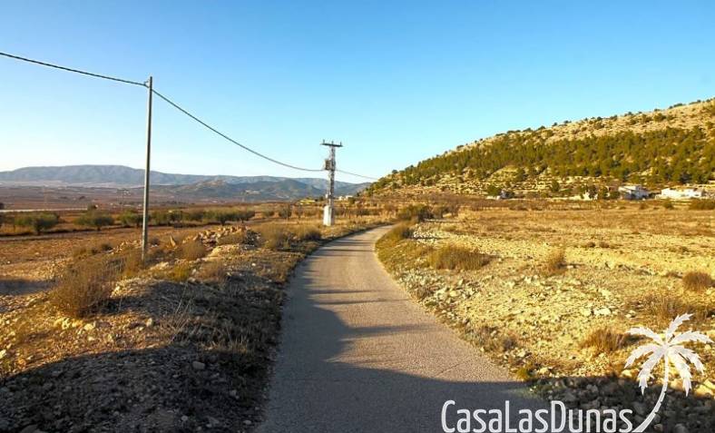 Parcela de construcción - Reventa - Monovar - Partida Cantalar, 03640