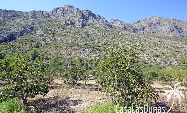 Parcela de construcción - Reventa - Orba Valle - xpg001372