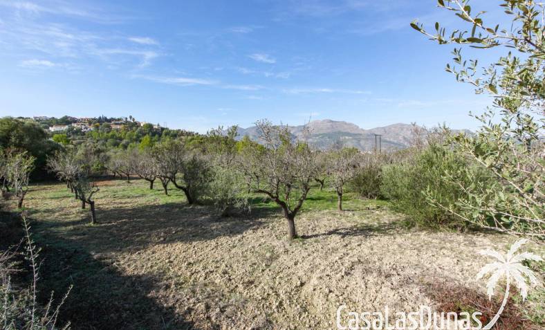 Parcela de construcción - Reventa - Orba Valle - xpg00927