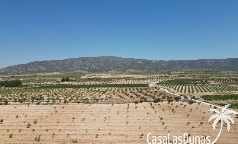 Parcela de construcción - Reventa - Pinoso - Pinoso